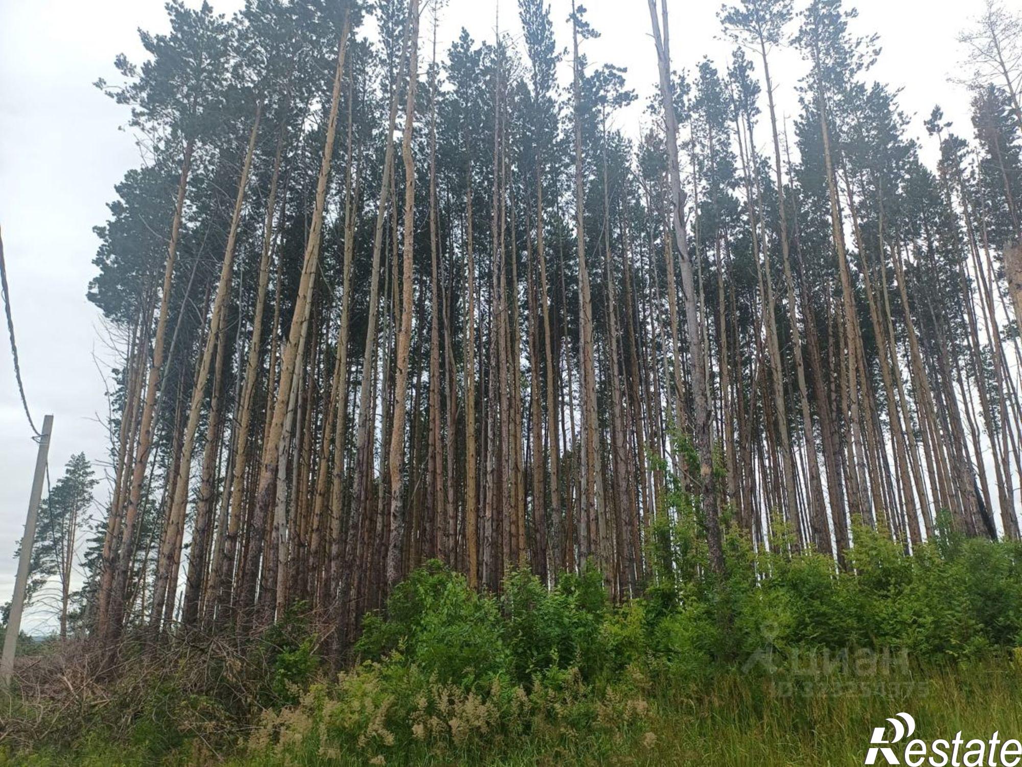 Купить землю, земельный участок за 2 000 000 рублей на СНТ Ёлочка