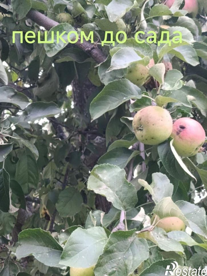 Земельный участок СНТ Южный