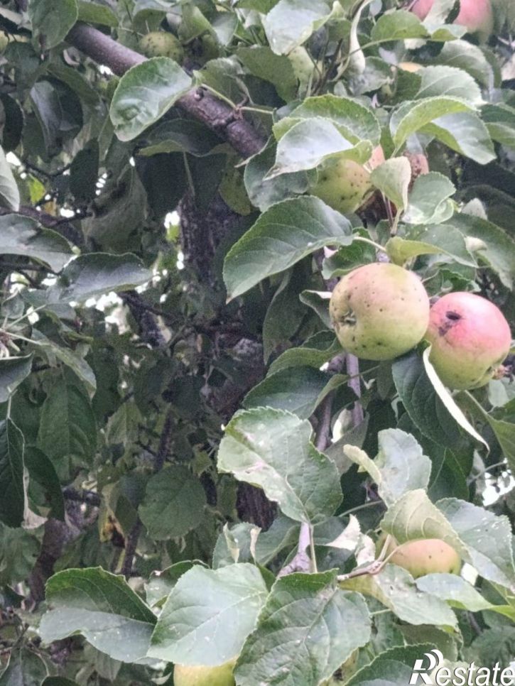 Земельный участок СНТ Южный