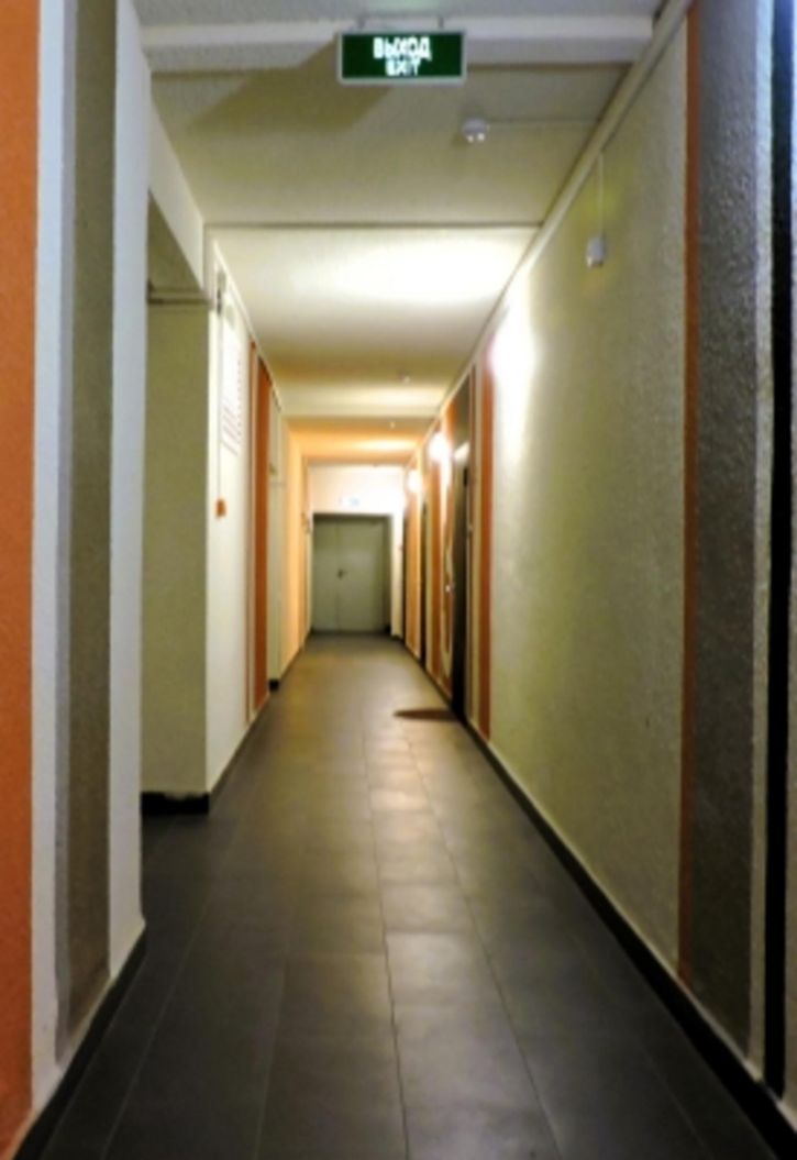 1-комн квартира ул Александра Невского, 2к