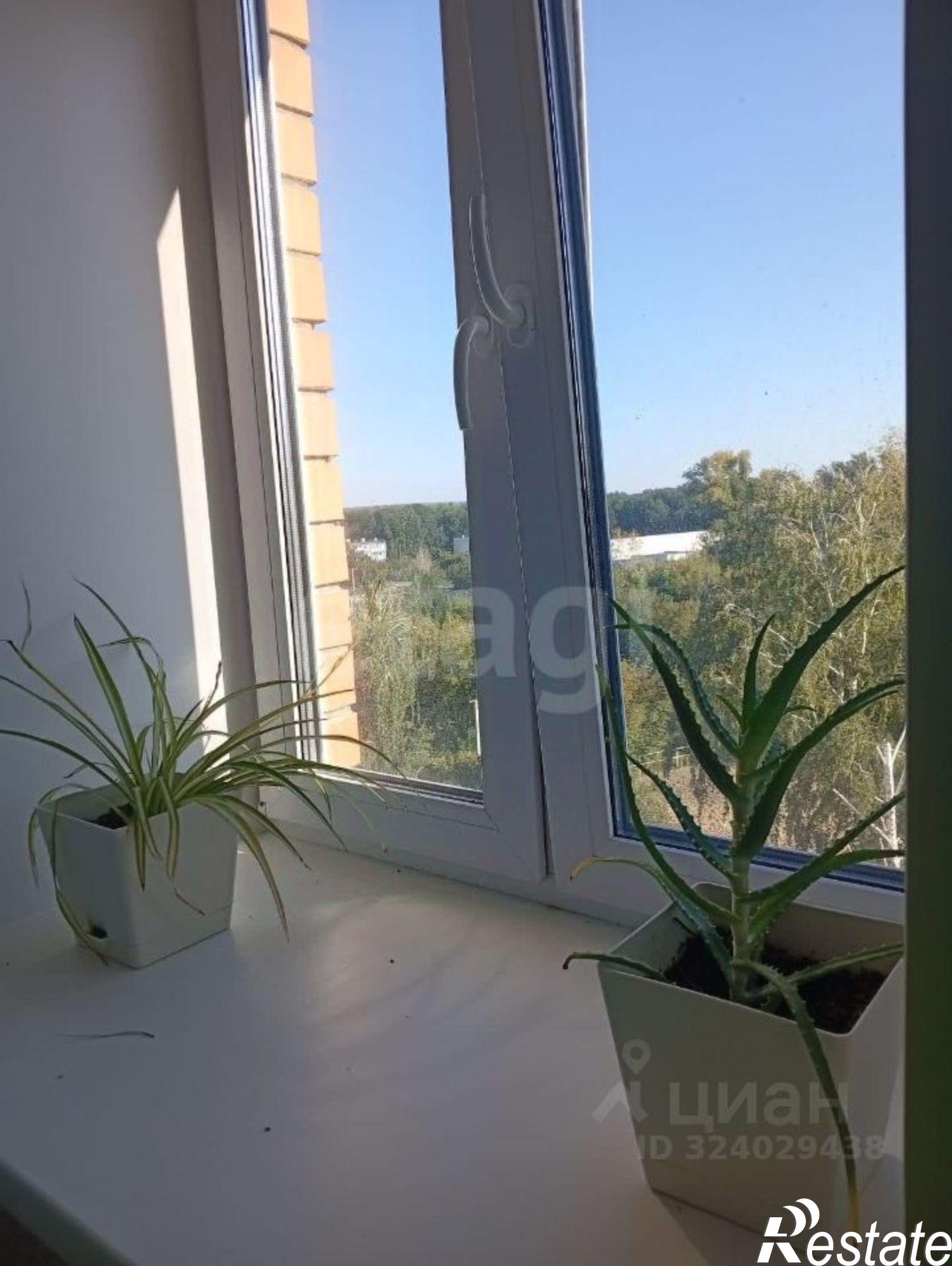 Сдать квартиру за 20 000 рублей на Ипподромная улица, 4В