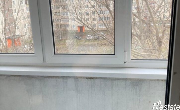 1-комн квартира ул Заречная, 11,  д. 11