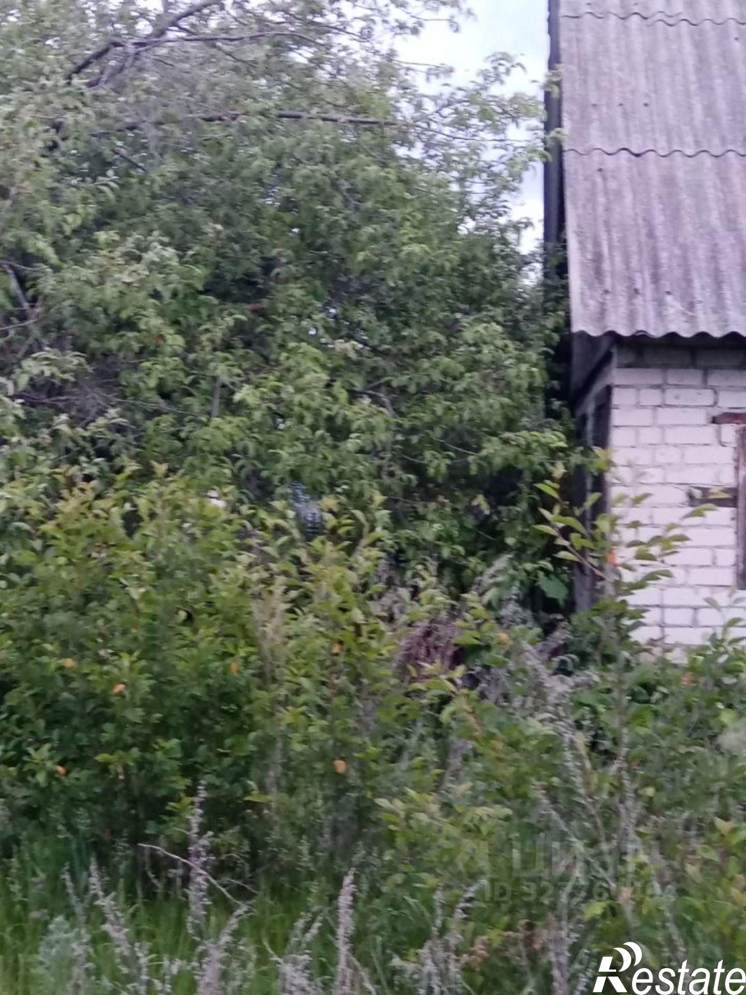 Купить дачу, дом, коттедж за 350 000 рублей на ул Центральная, 35