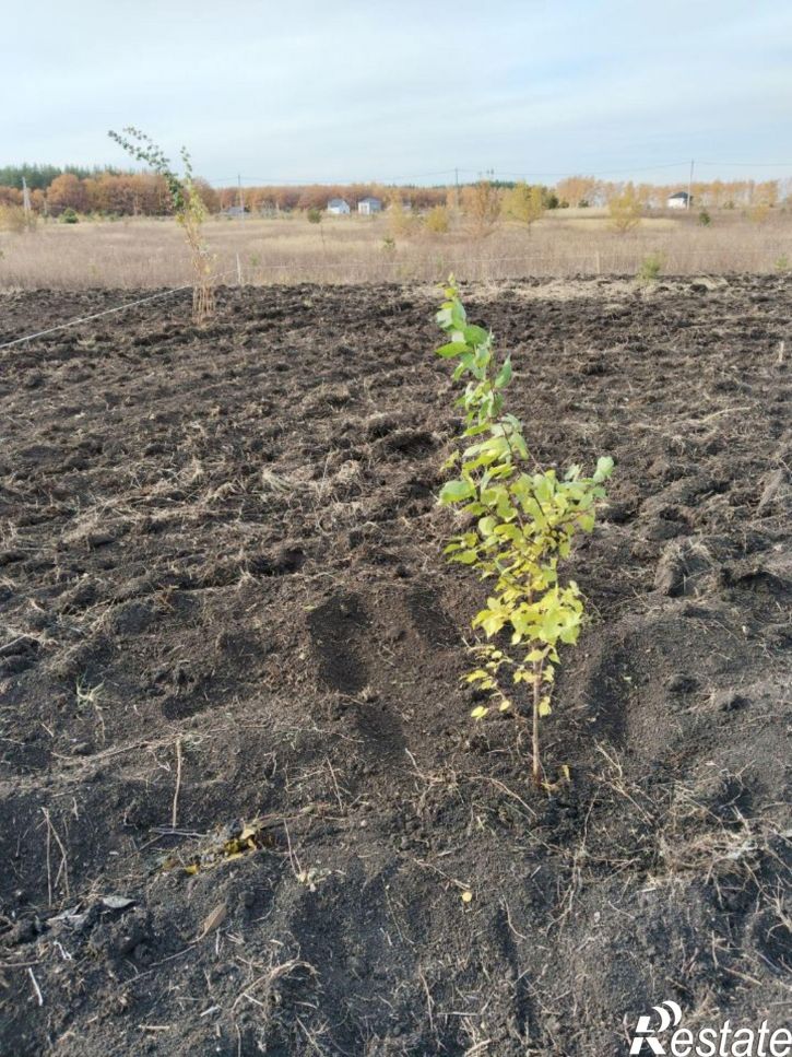 Земельный участок ул Академика Корнилова