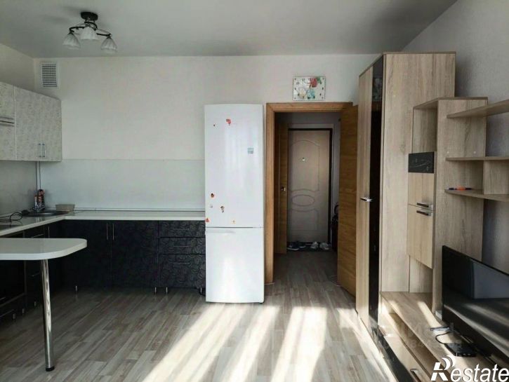 1-комн квартира ул Александра Невского, 2Е,  д. 2Е