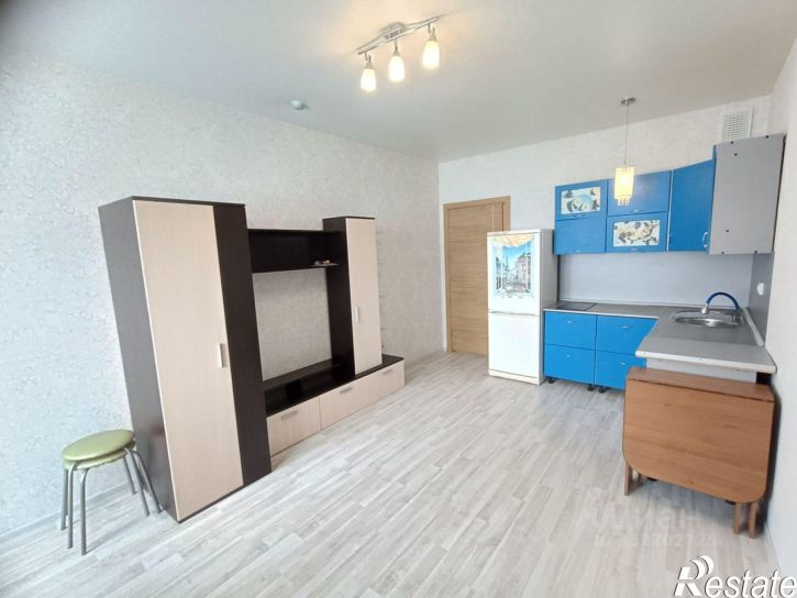 1-комн квартира ул Александра Невского, 2Е,  д. 2Е