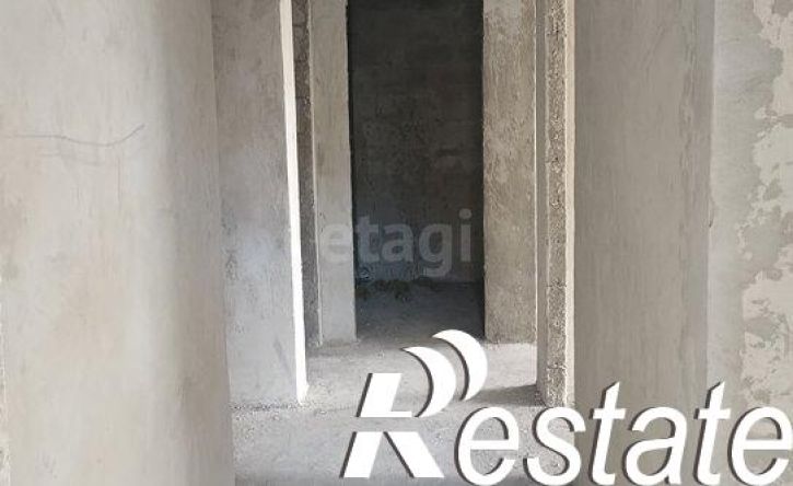 3-комн квартира улица Ефремова, 59А,  д. 59А